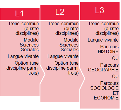 Licence De Sciences Sociales Structure De La Formation